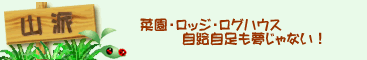 �R�ŕ�炷�y�R��炵�z
